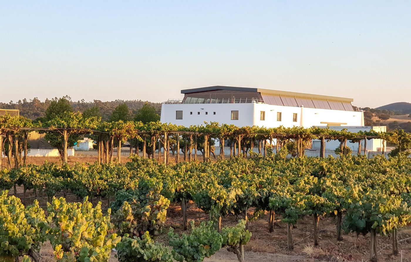 A photo of Exclusive Picnic at vineyard
