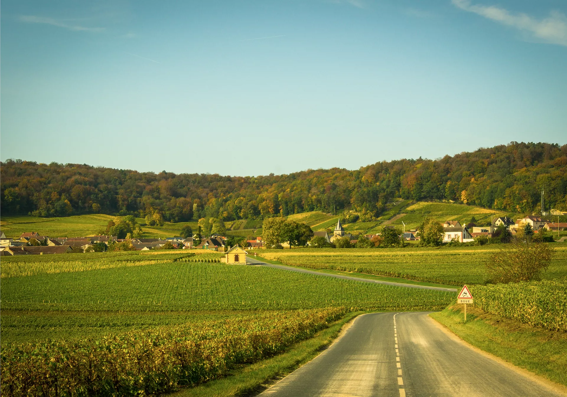 Épernay to Sillery