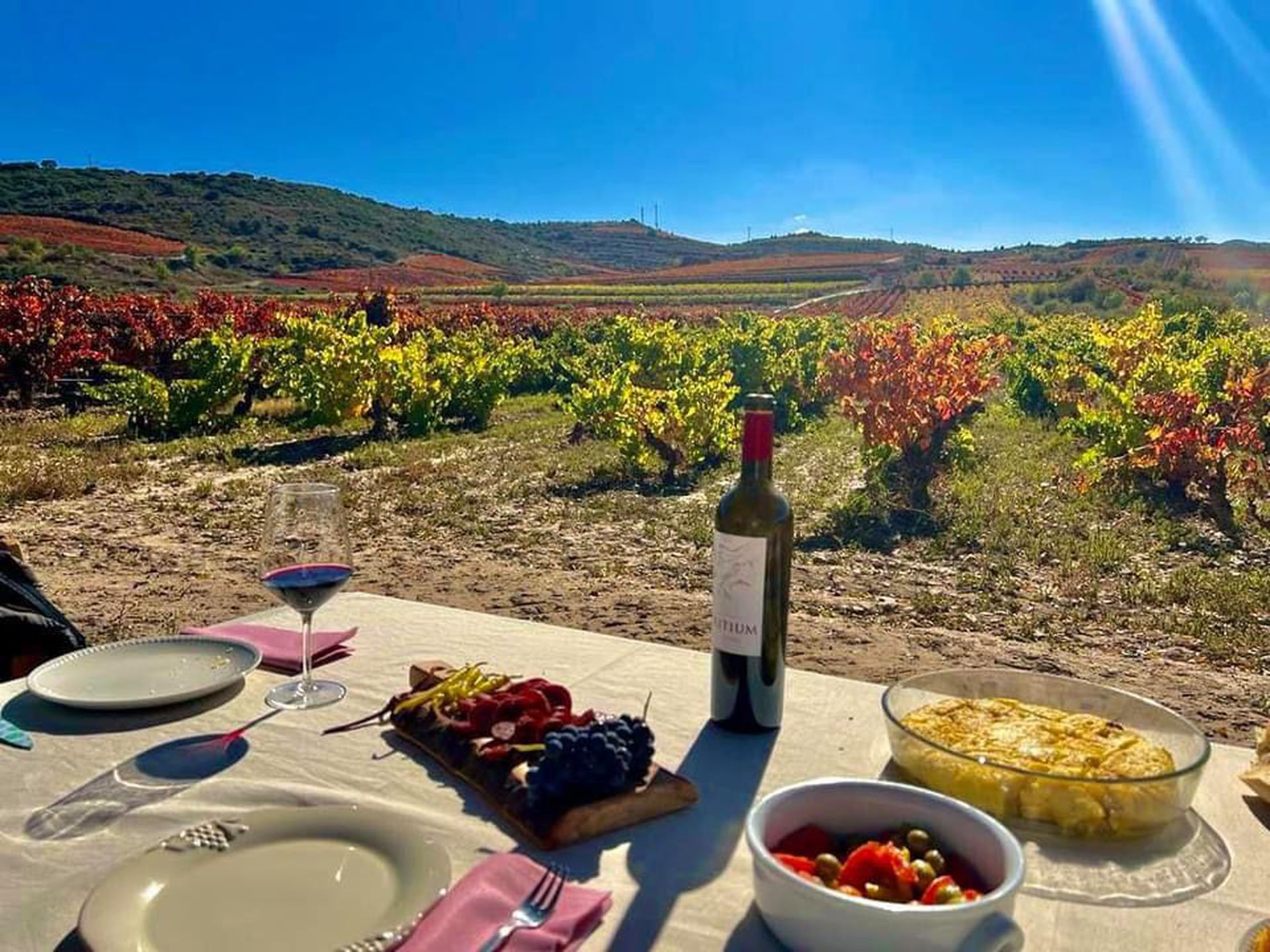 Picnic at the vineyard in Rioja