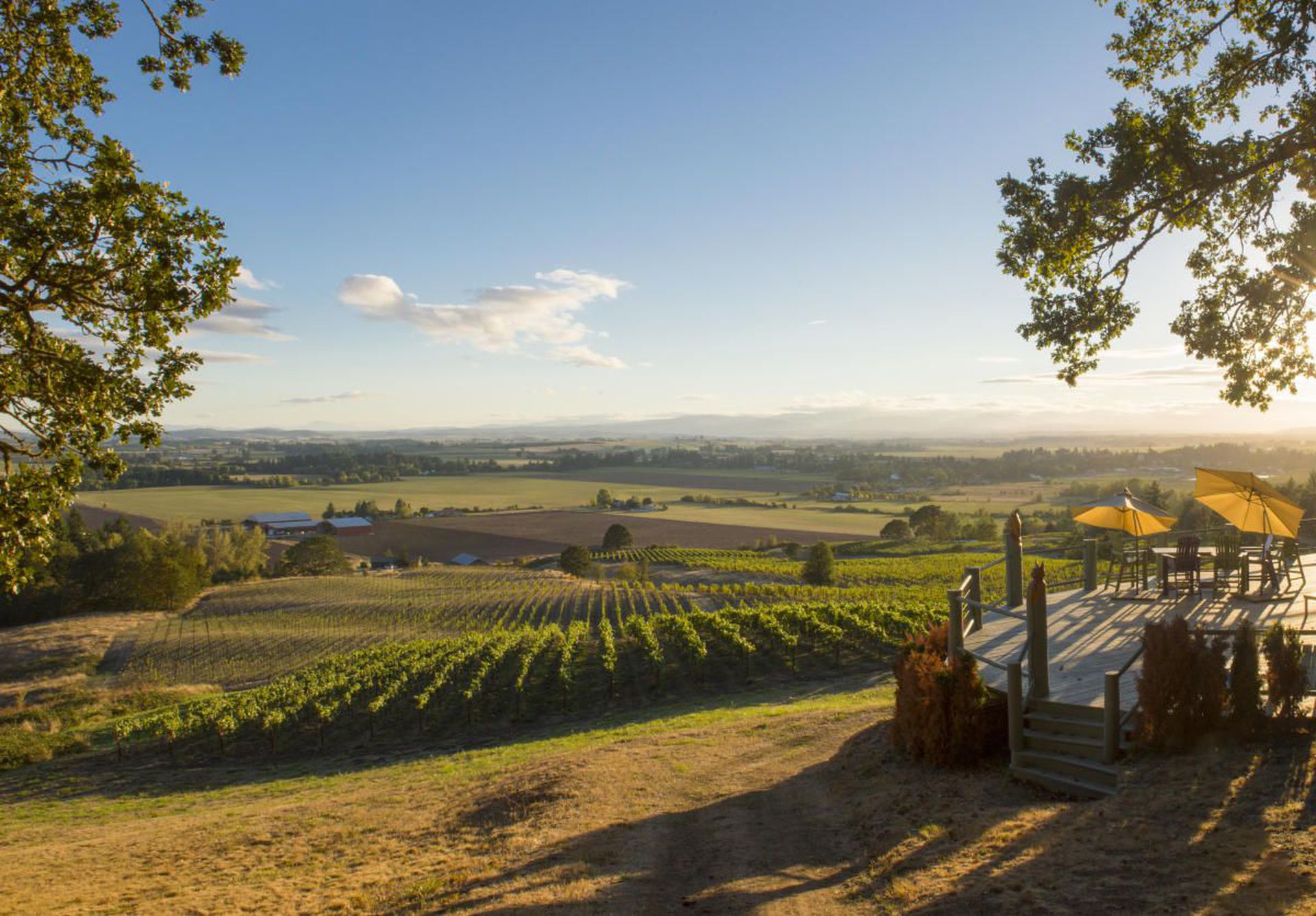 7-day private wine gourmet tour of Oregon, USA