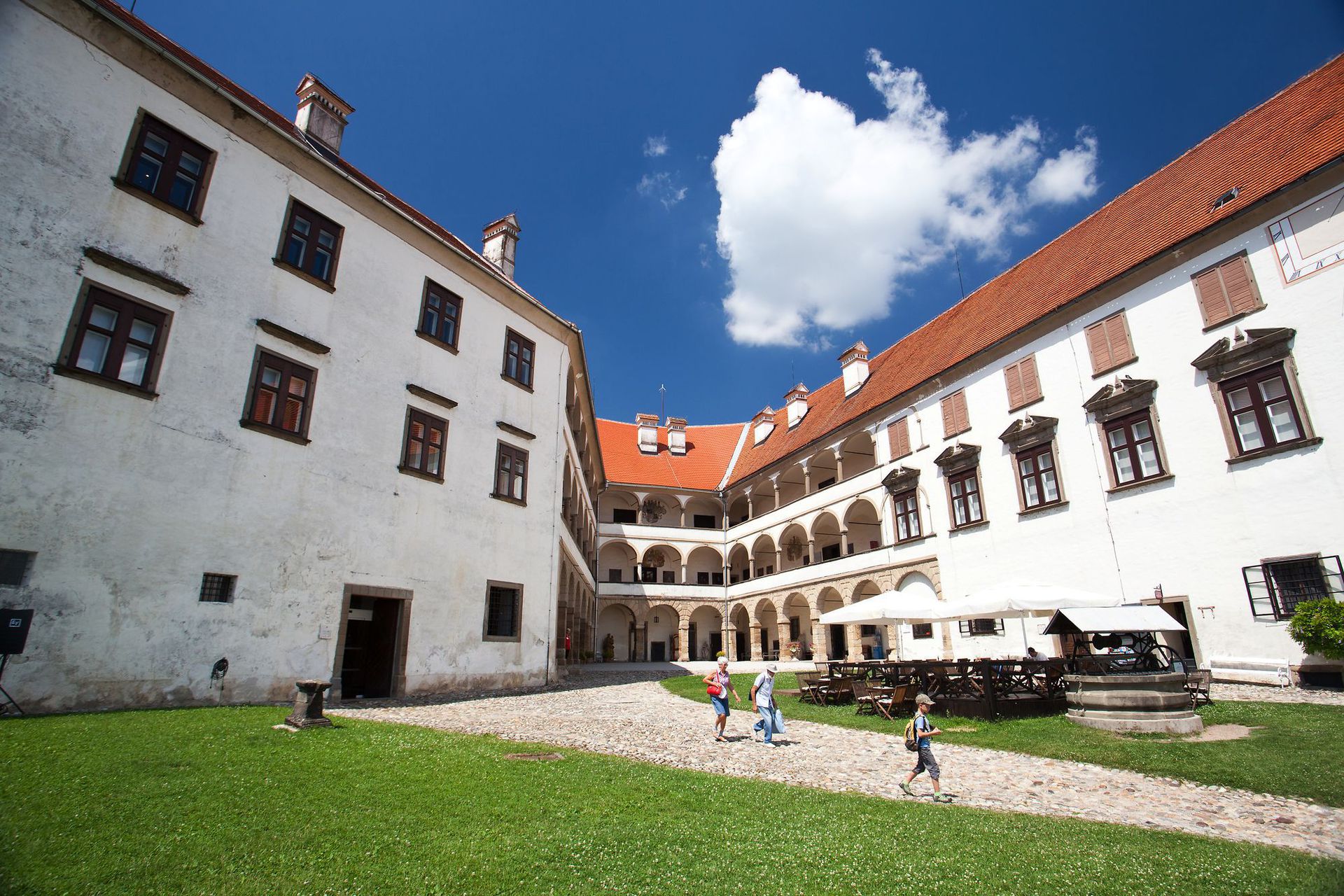 Private Wine Tasting Tour of Podravje from Ljubljana, Slovenia