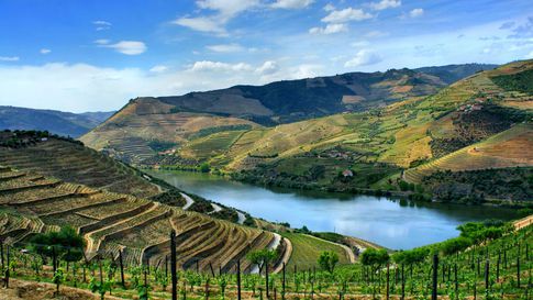 Thumbnail of Full-Day Historical Douro Valley Wine Tour from Porto with Cruise & Lunch