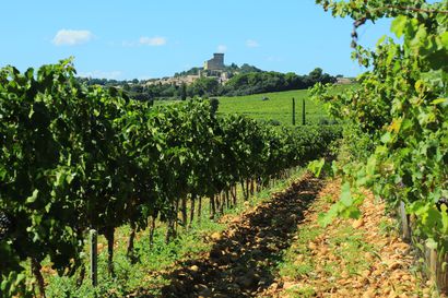 Thumbnail of Half day wine tour in Châteauneuf-du-Pape with two winery visits from Avignon