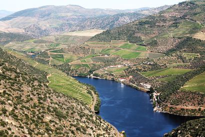 Thumbnail of The Best of Douro Valley Wine Tour