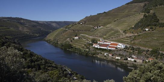 Thumbnail of Half-Day Douro Valley Cruising and Paddle Wine Tour