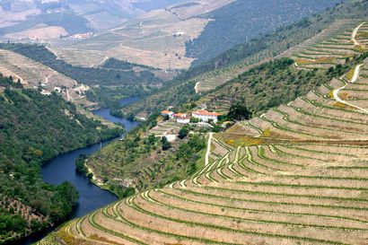 Thumbnail of Douro Valley Wine and Outdoor Adventures Tour