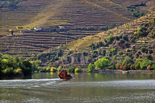 A photo of Full-Day Private Douro Valley Wine Tour with Cruise & Lunch from Porto
