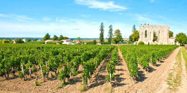 A photo of Full-Day Wine & E-Bike Tour in Saint-Emilion with Lunch at a Château from Bordeaux