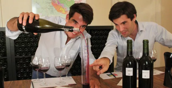 A photo of Wine Tasting Class: Become a Wine Expert within 2 Hours in Bordeaux