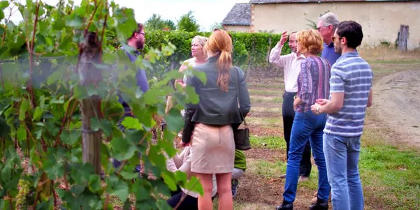A photo of Half-Day Vouvray Wine Tasting tour with Tastings from Tours