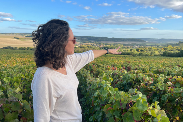 A photo of Sancerre Small Group Wine Day Trip with Wine Tastings and Lunch