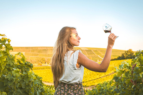 A photo of Private Tour to Sancerre from Paris