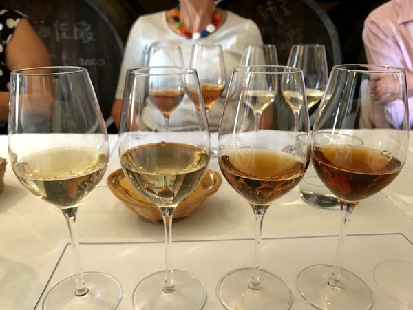 A photo of Half-Day Organic Wine Tasting Tour with Lunch in Córdoba, Andalucia