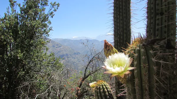 A photo of Full-Day Hiking, Picnic and Wine Tour in the Andes from Santiago