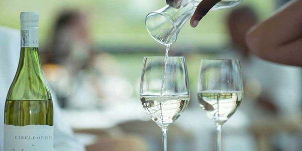 A photo of Full-Day Organic Wine Safari Tour from Cape Town