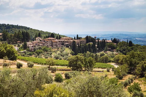 A photo of Wine Tasting Tour in Chianti From Florence