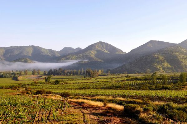 A photo of Full-Day Private Maipo Valley Wine Tour with Three Winery Visits from Santiago