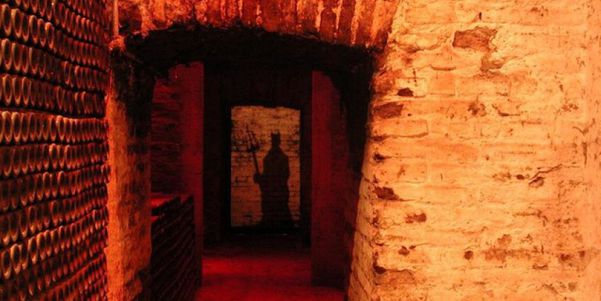 A photo of Full-Day Private Maipo Valley Wine Tour with Three Winery Visits from Santiago