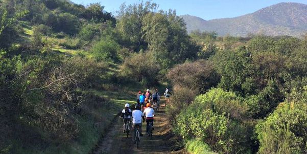 A photo of Full-Day Private Isla de Maipo Bike and Wine Tour from Santiago