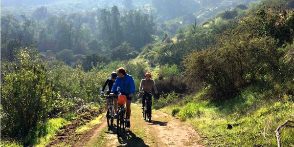 A photo of Full-Day Private Isla de Maipo Bike and Wine Tour from Santiago