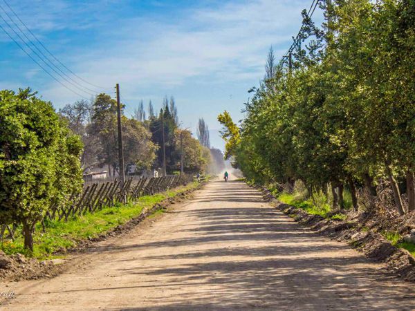 A photo of Full-Day Private Maipo Valley Wine Trekking Tour from Santiago