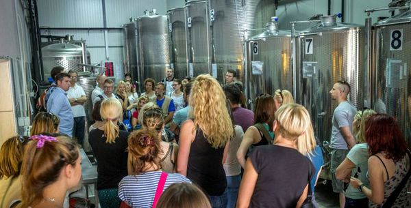 A photo of Vrsac Private Wine Tour from Belgrade