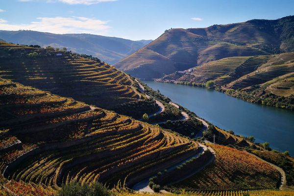 A photo of Douro Valley Small Group Tour with Wine Tastings and Lunch from Porto