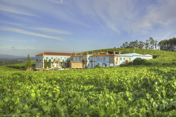A photo of Galicia Albariño Wine Tour with Visits to 3 Wine Estates