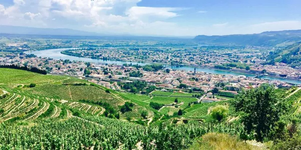 A photo of Half-Day Private Rhône Valley Wine and Cheese Tour from Lyon