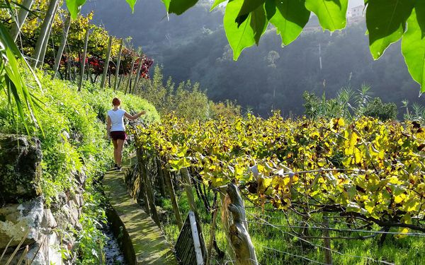 A photo of Private Half Day Wine Tour
