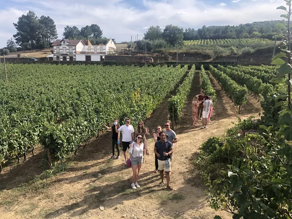 A photo of Full-Day Wine Tasting, Lunch and River Cruise in the Douro Valley from Porto