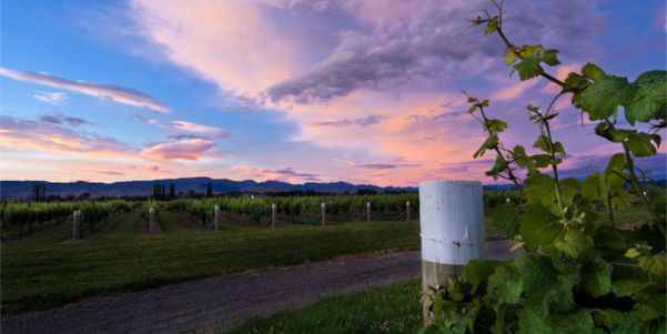 A photo of Full-Day Wine Tour in Marlborough with Tastings
