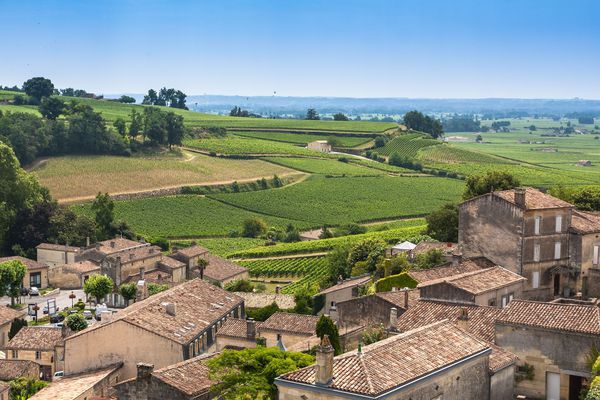 A photo of Full-Day Private Wine Tasting Tour in Saint-Émilion from Bordeaux