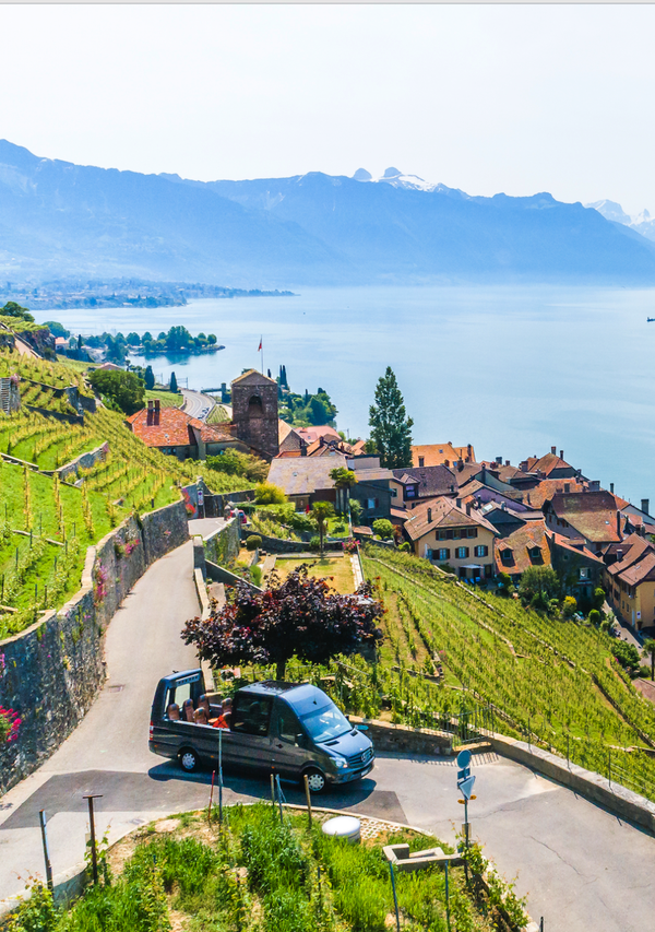 A photo of Half Day Wine Tasting & Scenic Tour of Lavaux