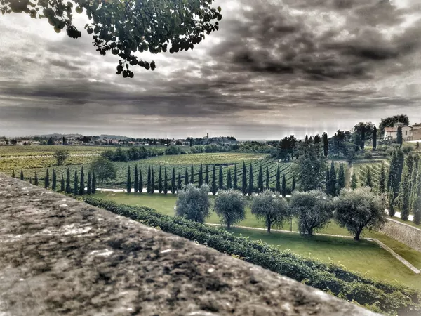 A photo of Half-day Lake Garda Wine Tasting Tour with Tortellini Lunch from Verona