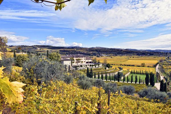 A photo of Full-Day Valpolicella Wine Tour with Visits to 3 Wineries and Lunch