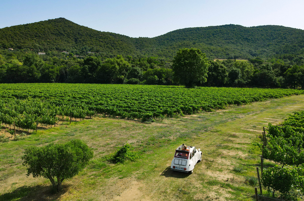 A photo of Unusual vintage tour, wine tour, Gulf of Saint-Tropez