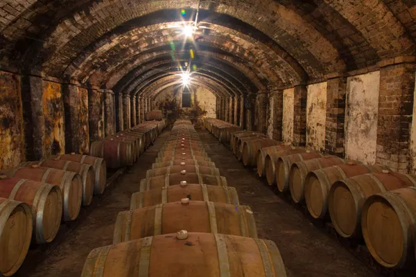 A photo of Full-Day Private Chianti Wine Tasting Tour from Florence