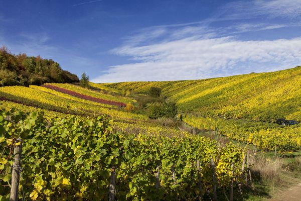 A photo of Rheingau Hiking and Wine Tour