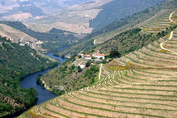 A photo of Douro Valley Wine and Outdoor Adventures Tour