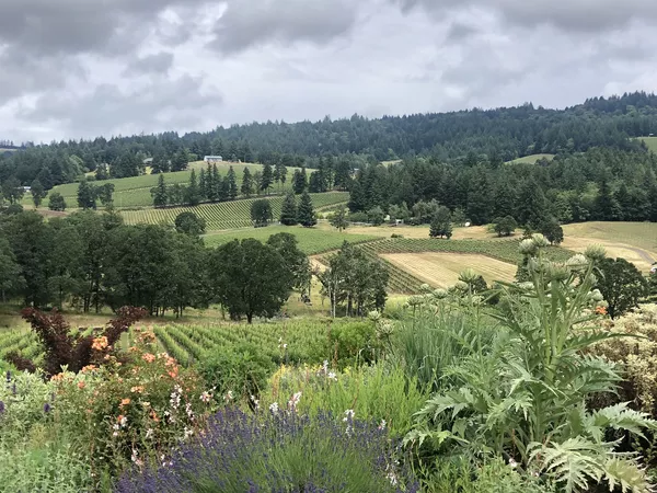 A photo of Southern Willamette Valley Wine Tour from Eugene