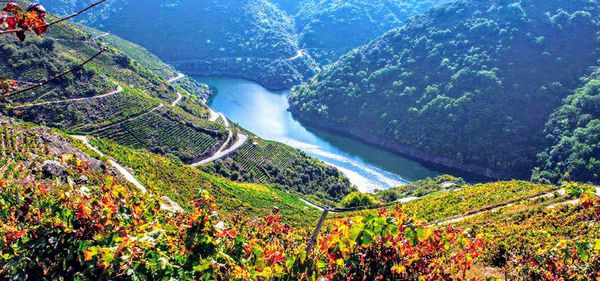A photo of 4-Day Wine Tasting Tour of North-West Spain’s Hidden Gems