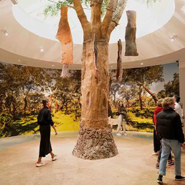 A photo of Fonseca Cellar Self-Guided Tour with Tasting & 1 WOW Museum at your choice