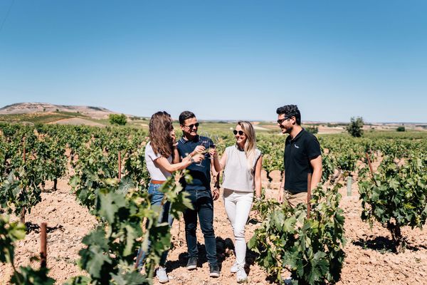 A photo of Ribera del Duero, Peñafiel & Top Wineries Experience from Madrid