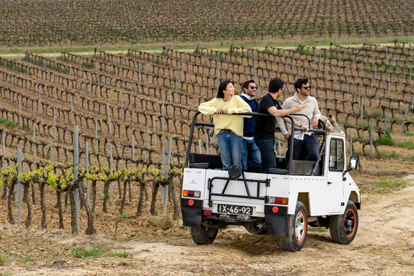 A photo of Lisbon Wine Tour with 4WD Vineyards Experience 