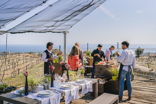 A photo of Paella Cooking Experience with Sea View & Winery Tour from Barcelona