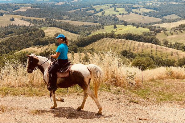 A photo of Horseback tour and natural wines tasting