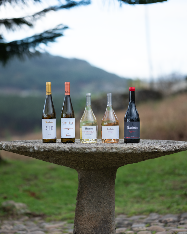 A photo of Territories Wine Tasting Experience