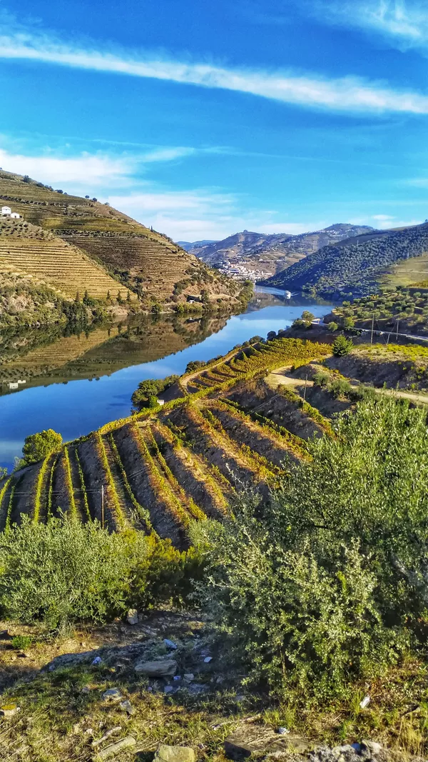 A photo of Douro Valley Wine Tasting