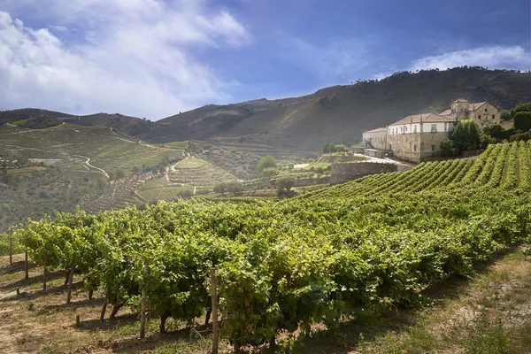 A photo of Kranemann Wine Estates